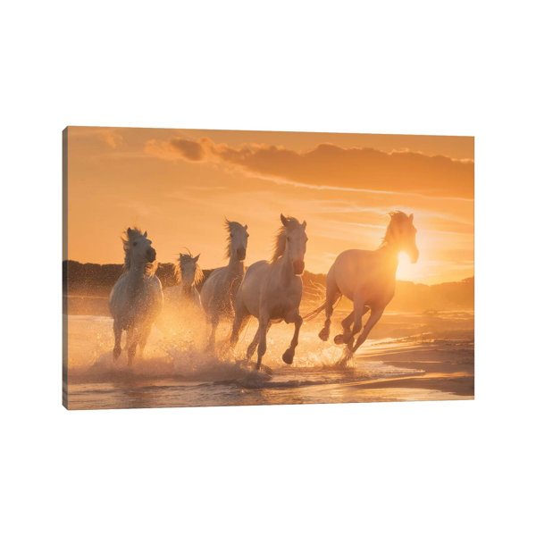 Brambly Cottage White Angels Of Camargue XL by Daniel Kordan - Wrapped ...