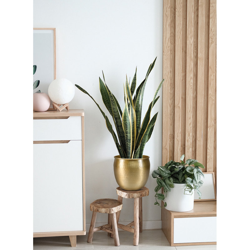 Quanette Metal Pot Planter, 9.75"H x 10.75"W x 10.75"D