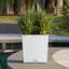 Moneak Planter Box-2032306924-2033258003