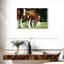 Brampt Clydesdale Horses-115333975