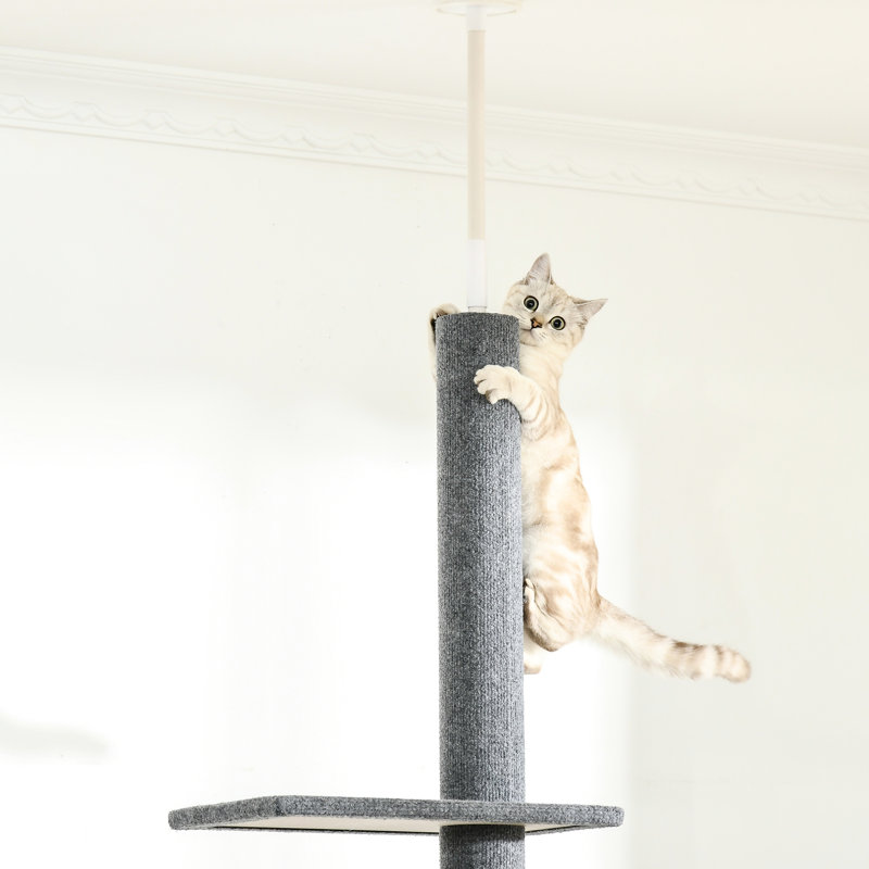 Grimpeur de plancher-plafond pour chat, tour grise réglable de 8,5 pi de hauteur avec plateformes et grattoir pour chaton, structure d'escalade amusante, poteaux pour chatons confortables