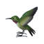 Statue métal colibri en métal