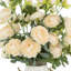 Ranunculus Arranged in a Ceramic Pot