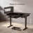 Meison 50.39'' W Height Adjustable Rectangle Standing Desk-910924986