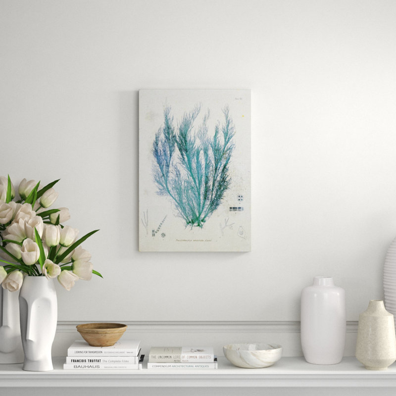 Polysiphonia Print by Henry Bradbury, Outdoor, 26" H x 18" W