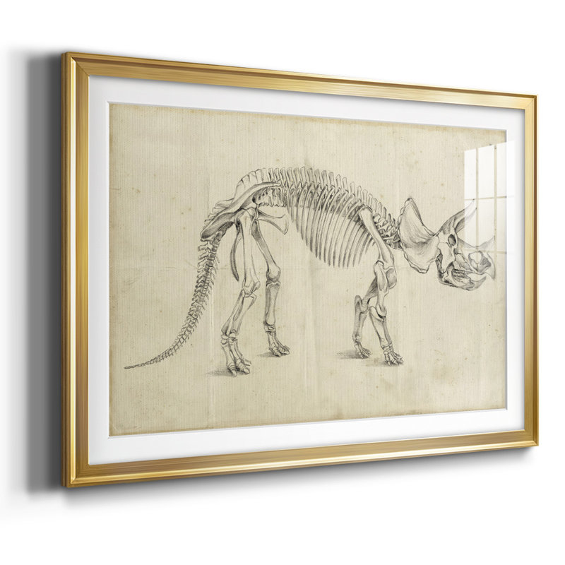 Dinosaur Study II, reproduction d'art encadrée, Or, H 30 po x l 44 po x P 1,5 po