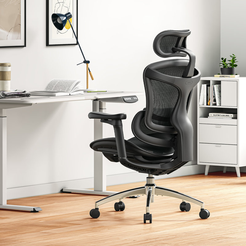 Ergonomic Office Chair with 3D Armrests, Dynamic Lumbar Support, Black/Silver, Black
