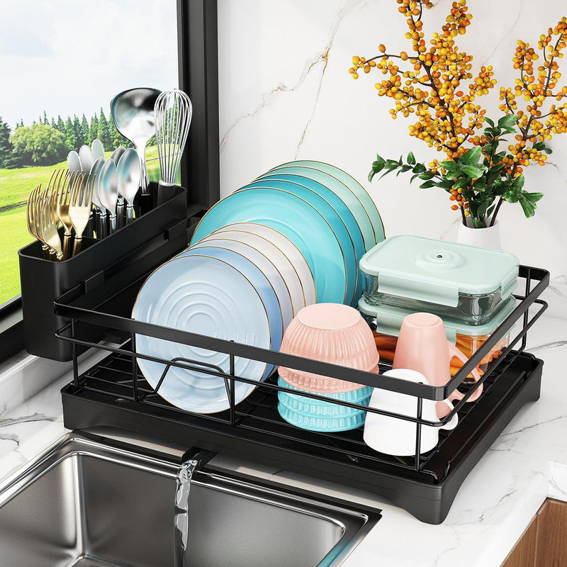 ASTER-FORM CORP Dish Drying Rack,2-Tier Dish Racks For Kitchen