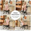 Chaise de bureau ergonomique multi-positions à pattes croisées pour adultes, fauteuil pivotant de méditation et de TDAH avec support pour le dos et base roulante