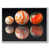 White Floater Framed Canvas is unavailable