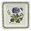 Portmeirion Botanic Garden Square Plate 7"