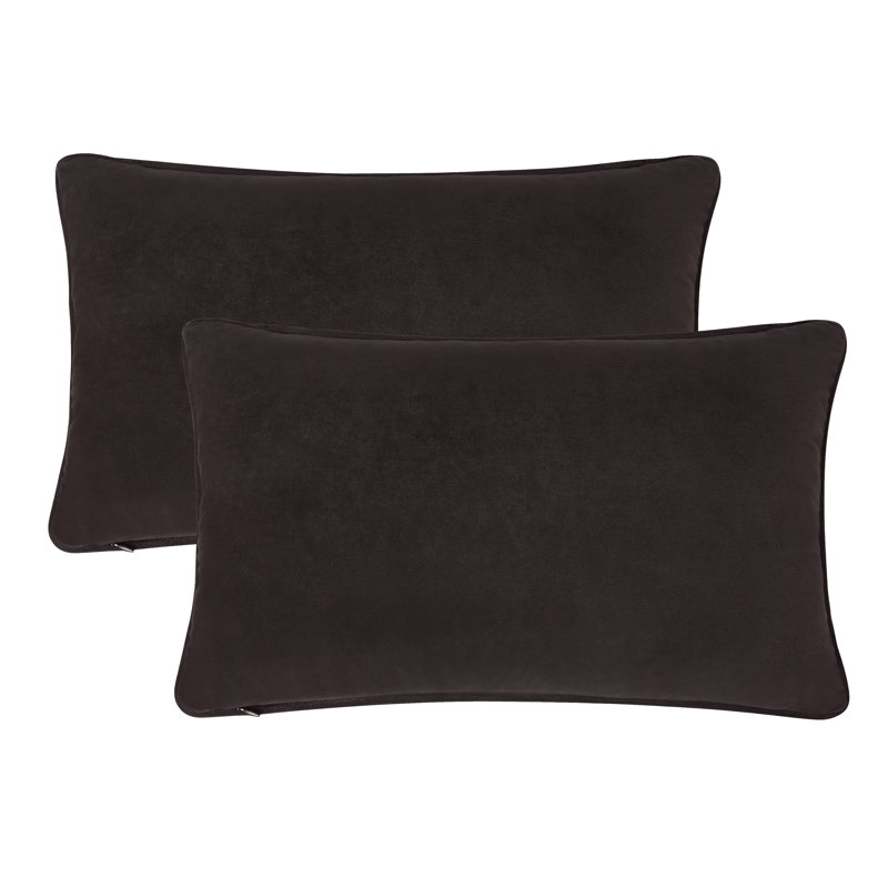 A1HC Set of 2 Luxurious Velvet Throw Pillow Covers — Soft Decorative Cushions with Hidden Zipper, Iron Grey, 12" x 20"