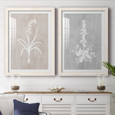 " Botany Beauty I " 2 - Pieces Painting Print