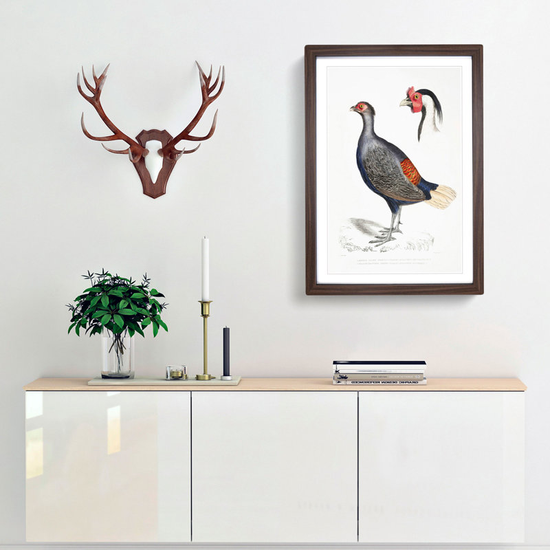 Crested Pheasant Illustration by John Edward Gray - Picture Frame Painting Print, 65cm H x 48cm W x 2cm D, Walnut Framed