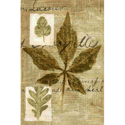 Collage de feuilles III
