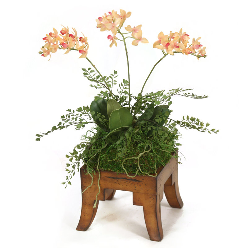 Polysilk Orchid Arrangement in Pot