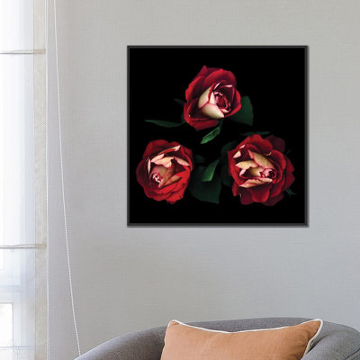 « passionné trio », reproduction de photo sur toile tendue