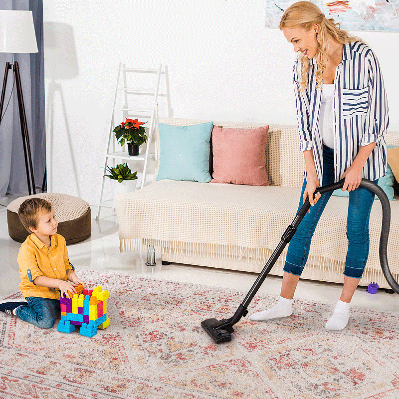 Tapis lavable à la machine - doux, adapté aux animaux de compagnie et aux enfants, Tapis de couloir 2 pi 6 po x 10 pi