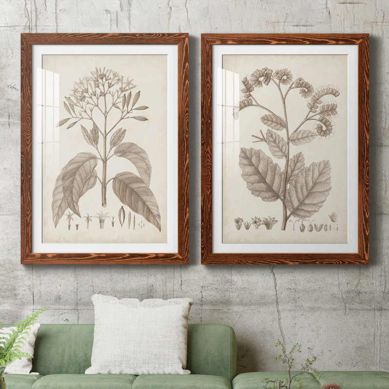 Antique sépia botanicals III - ensemble de 2 reproductions d'art sur papier encadré, H 37,5 po x l 55 po x P 1,5 po