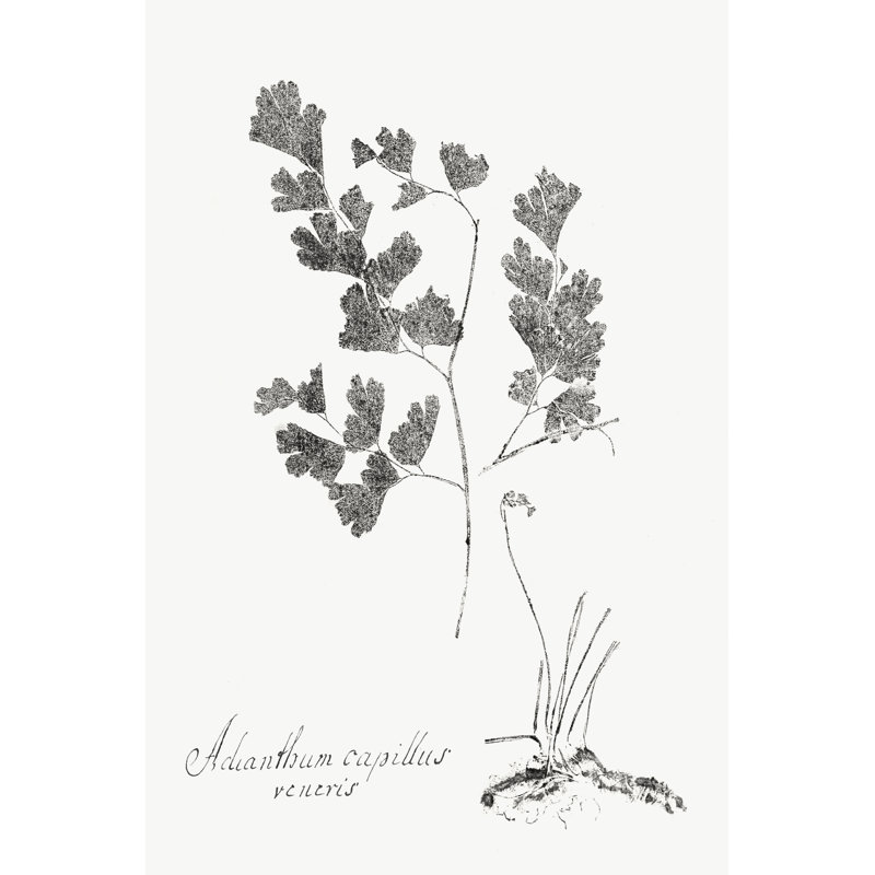 Botanical Imprint I by Vision Studio - Painting, 122 cm H x 81 cm W, Wrapped Canvas