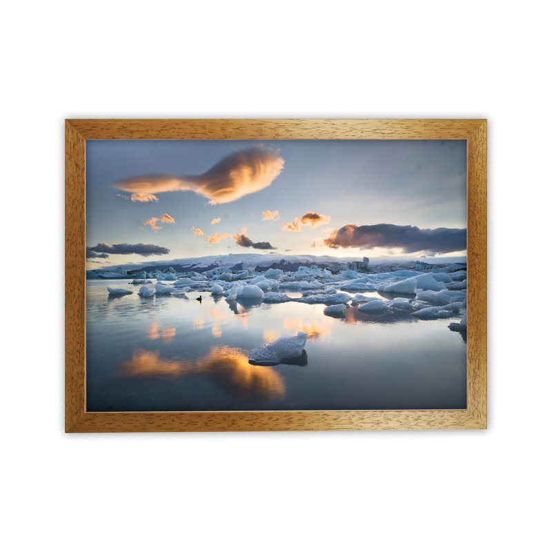 Lagoon Duck by Karsten Wrobel - Print on Canvas, 25cm H x 34cm W x 3cm D, Brown Framed