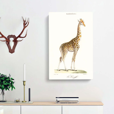 Giraffe by Florent Prevos - Wrapped Canvas