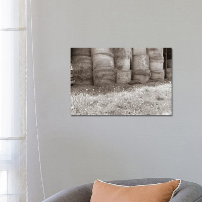 Sepia Farm Study V 1 Piece Wrapped Canvas Wall Art