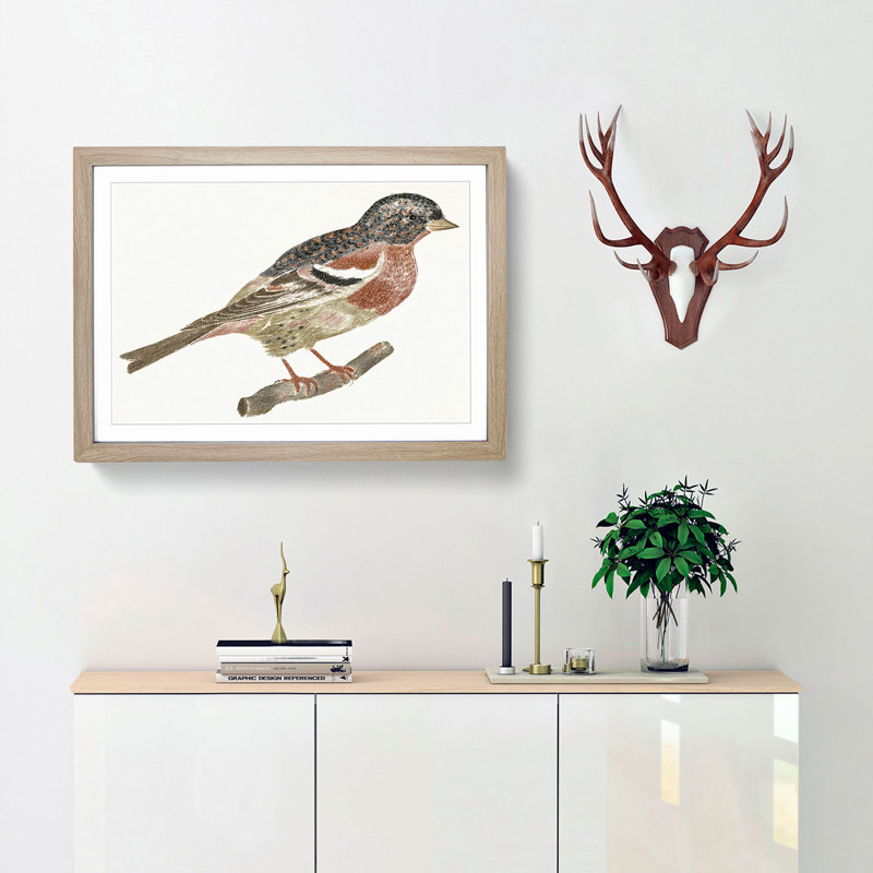 Bullfinch by Johan Teyler - Picture Frame Art Print, 48cm H x 65cm W x 2cm D, Oak Framed