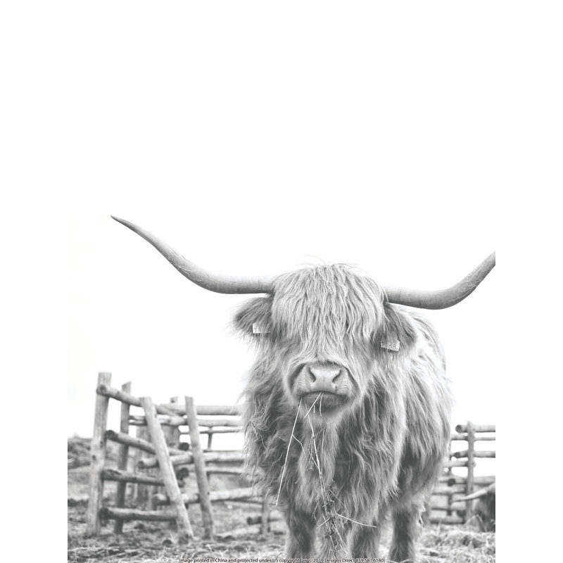 Noir et blanc Highland Cow - impression, H 36 po x l 24 po