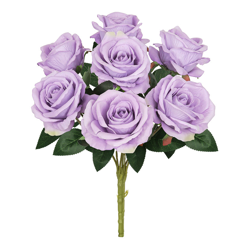 Velours rosier, Lavande