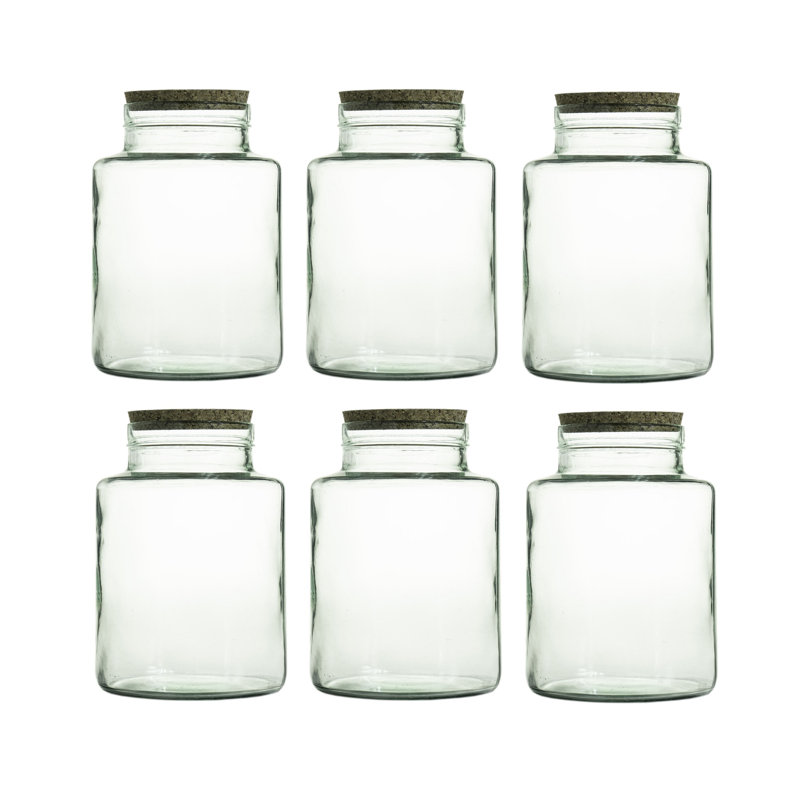 Emberly Glass Decorative Urns & Jars