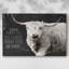 Toile tendue Longhorn