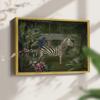 Zèbre en serre - reproduction encadrée