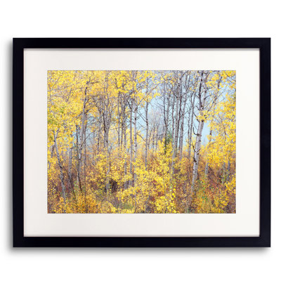 Swan Valley Autumn Portrait #4 Print by Bruce Heinemann