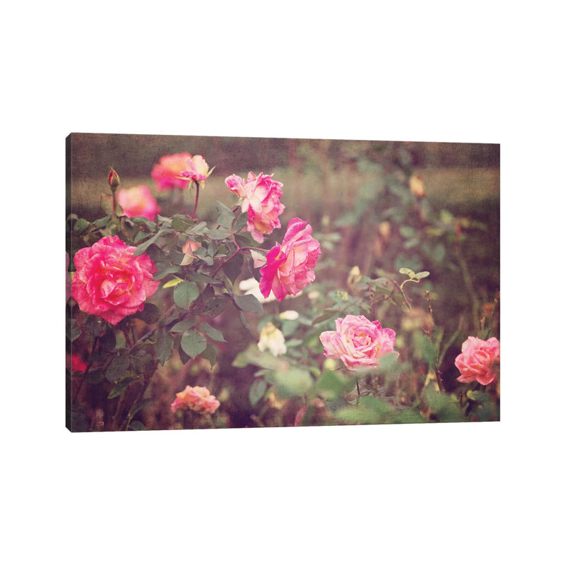 Vintage Roses by Ann Hudec - Wrapped Canvas Print, 20.32 cm H x 30.48 cm W