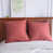 Coral Red est en rupture de stock