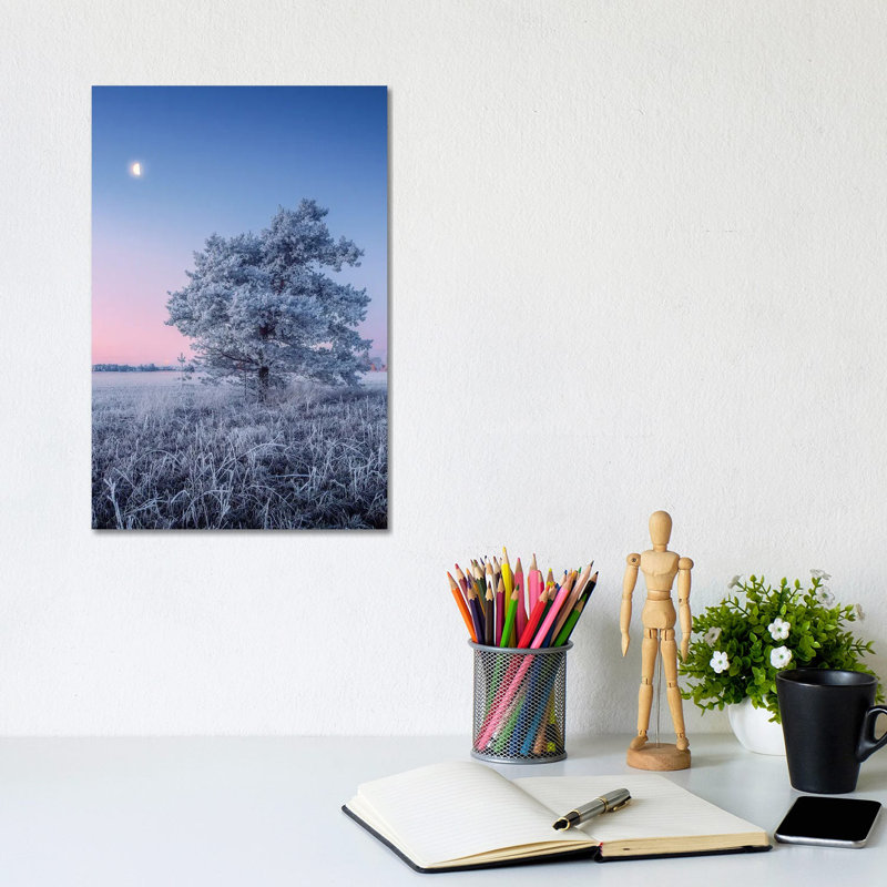 Hoar Frost by Lauri Lohi - Wrapped Canvas Print, 20.32 cm H x 30.48 cm W