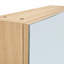 Accent Cabinet, Bathroom Mirror Cabinet, Wall Mounted Medicine Cabinet