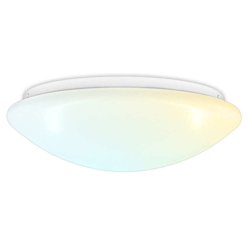 Daleena LED Flush Mount
