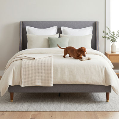 Melaya Elegant Wingback Upholstered Platform Bed Frame – Luxurious Design with Gold Piping, Sturdy Support, and Easy Assembly
