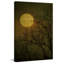 Reproduction d’art sur toile tendue "dark side" par robin-16277623
