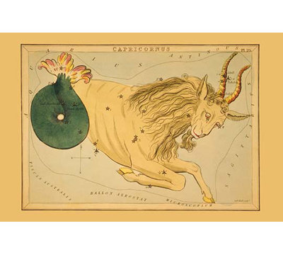 Capricorne-impression d’art graphique