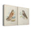 Hawk Owl - Toile tendue avec châssis de qualité supérieure - Prêt à être accroché-108964045