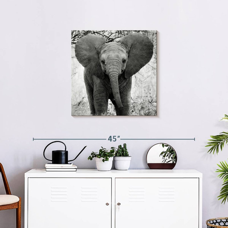 Brampt Funny Eared African Elephant, 39" H x 39" W