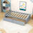 Twin Size 2 Drawers Wooden Platform Bed-573694948