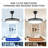Ceiling Fan with LED Lights