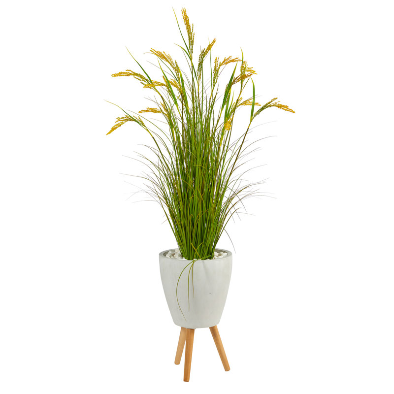 Blé artificiel 60 po en pot
