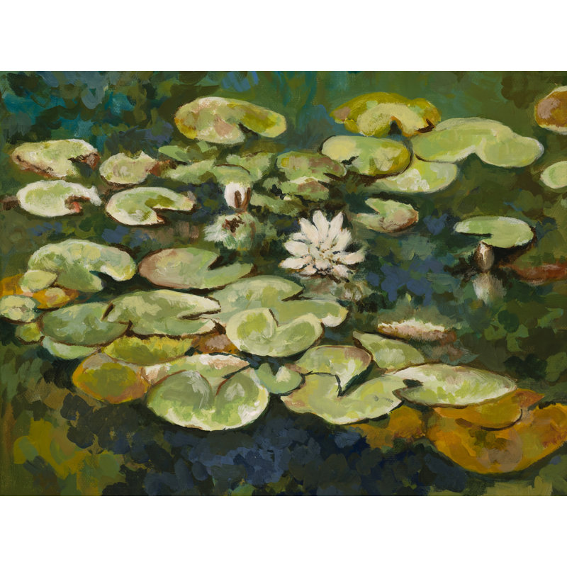 Serenity Lotus Pond I par Ruth Hayes, Papier avec cadre noir, 24" H x 30" W
