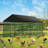 Durtschi Chicken Coop-498924565