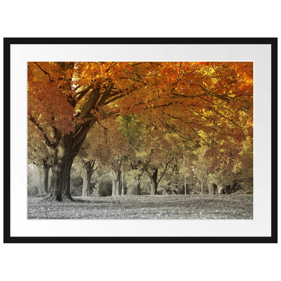 Gerahmtes Poster Schöne Herbstlandschaft